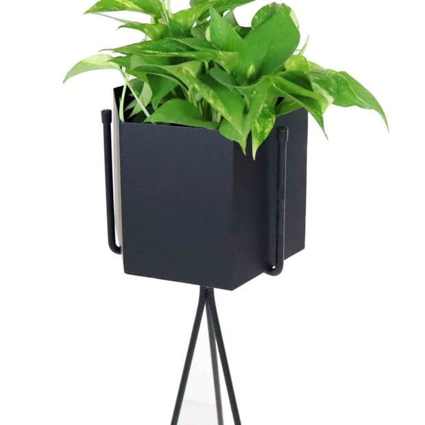 Radiant Black Free Standing Planter - Home And Style